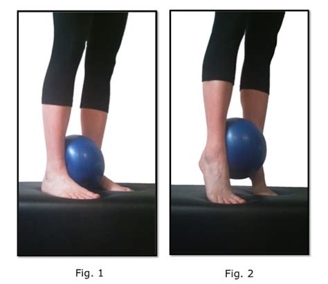 Exercise Of The Day Day 5 Calf Raises With Straight Leg Ball