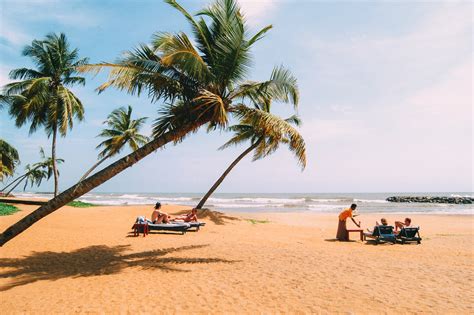 12 Very Best Things To Do In Sri Lanka Hand Luggage Only Travel
