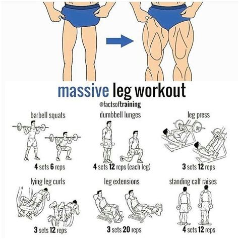 Leg Exercises Leg Workout Workout Routine Gym Workouts