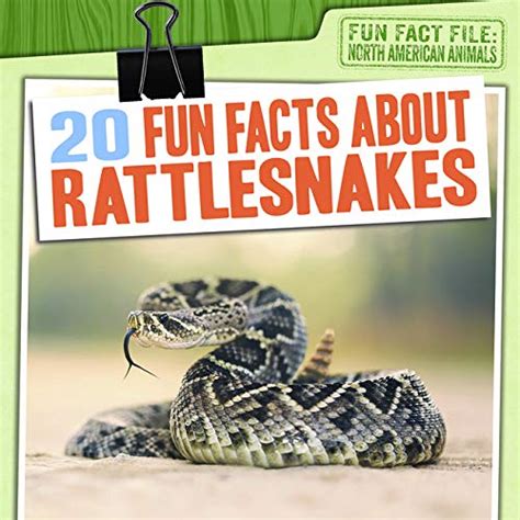 20 Fun Facts About Rattlesnakes By Natalie Humphrey Goodreads