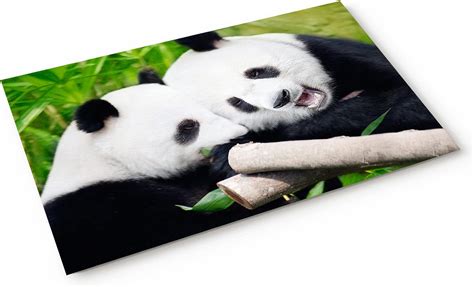 Panda Bamboo Flooring Flooring Guide By Cinvex