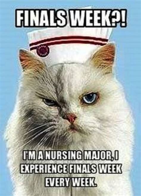 Nurses Day Meme 30 Night Shift Memes For Nurses Nursebuff So Help