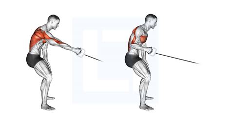 Cable One Arm Bent Over Row Guide Benefits And Form