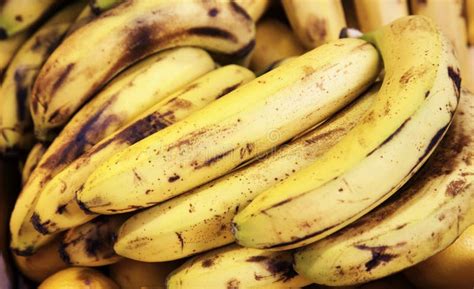 Bunch Of Organic Bananas At Market Stall Stock Image Image Of Health
