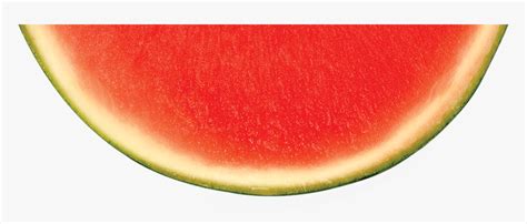 One Delicious Melon Watermelon Slice Transparent