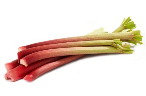 La rhubarbe Cuisine de bébé