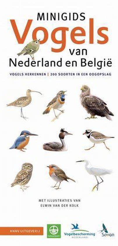 Minigids Set Minigids Vogels Van Nederland En Belgi Jip Louwe