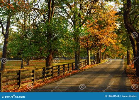 Kentucky Back Roads In Autumn Stock Photo Image Of Autumn Outdoors