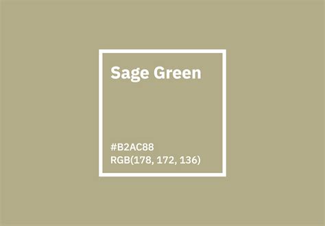 Sage Green Color Hex Rgb Cmyk Pantone Color Codes Us Brand