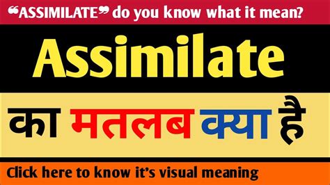 Assimilate Meaning In Hindi Assimilate Ka Matlab Kya Hota Hai Youtube