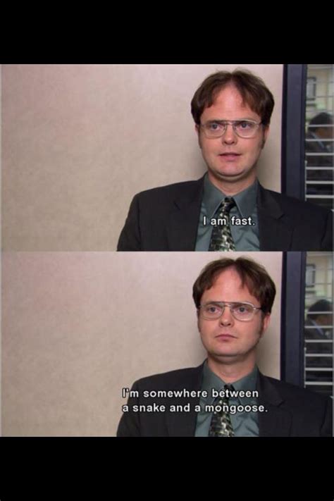 Dwight Schrute Quotes Funny Quotes From The Office Mambu Png