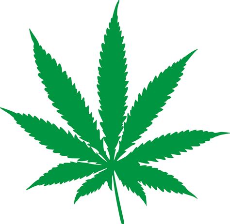 Pot Leaf Cannabis Vector Png Imagenes Gratis 2022 Png Universe