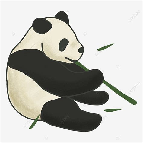 Cute Fat Panda Sitting And Eating Bamboo Panda Bamboo