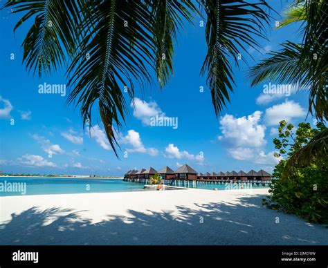 Maldives Island With Beach Water Bungalows And Palm Trees South Male