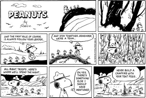 May 1995 Comic Strips Peanuts Wiki Fandom Powered By Wikia