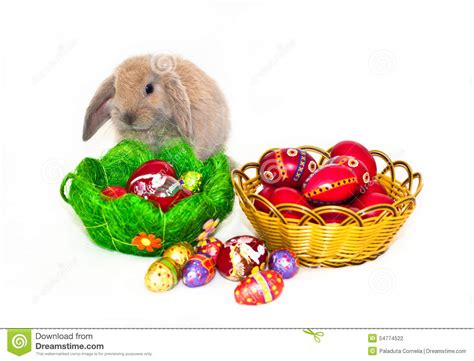 Easter Rabbit And Two Baskets With Easter Eggs Stock Photo Image Of