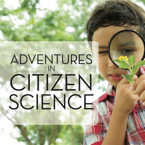 Citizen Science Project 8 Bugs In Our Backyard — Home School Life