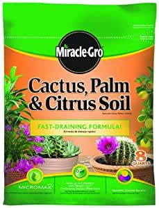 This next gardener succulent and cacti potting mix is completely organic and imported from denmark. Amazon.com : Miracle-Gro 0062581-298 Cactus, Palm ...