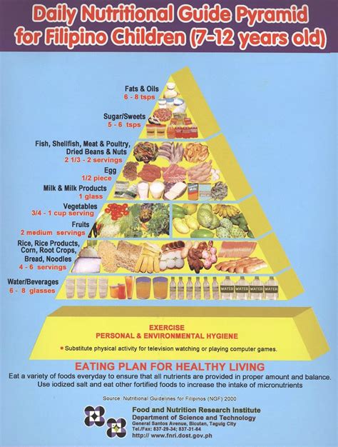 Pin On Food Pyramid