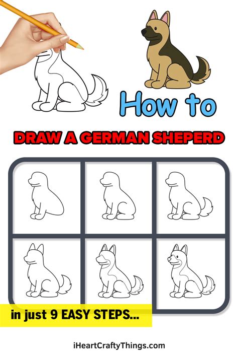 German Shepherd Drawing — How To Draw A German Shepherd Step By Step