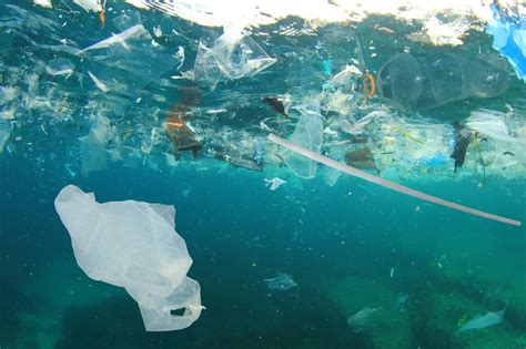 Tell Congress Its High Time To Break Free From Plastic Waterkeeper