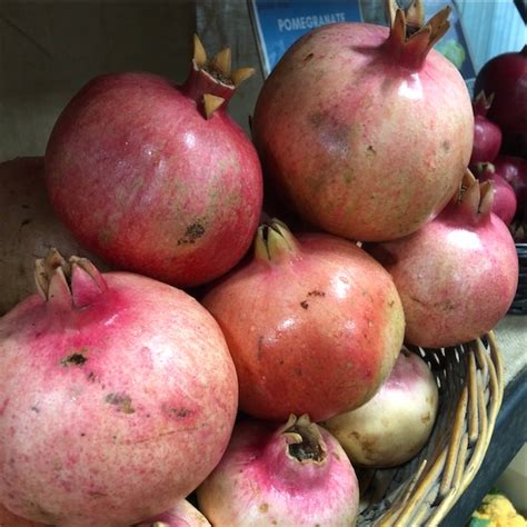 White Pomegranates Information And Facts
