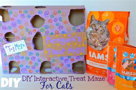 Diy Interactive Treat Maze For Cats Miss Frugal Mommy