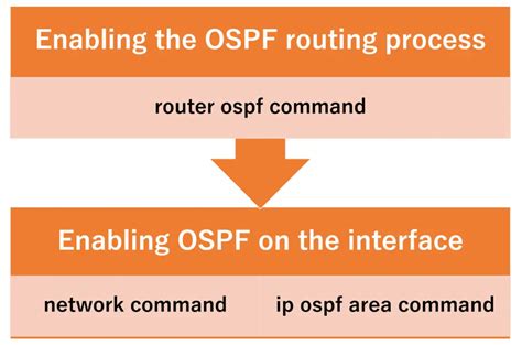 Ospf Basic Configuration And Verification Commands How The Ospf Works