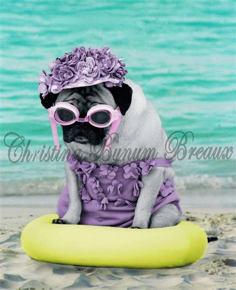 Pug In The Inter Tube Pugs Critter Pool Float Beach Outdoor Decor