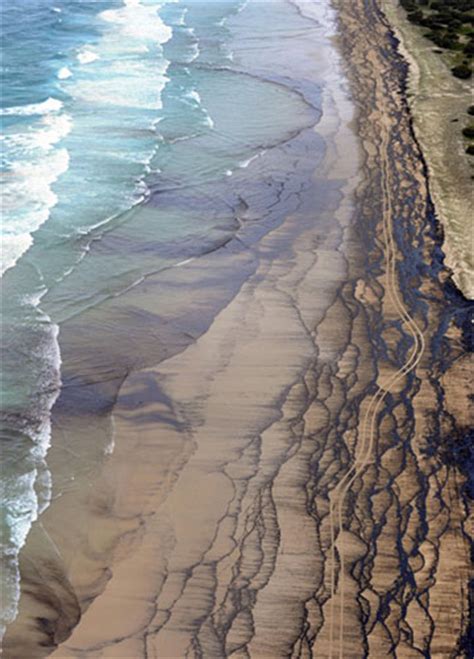 Maybe you would like to learn more about one of these? Oil spill on Australian beaches -- china.org.cn