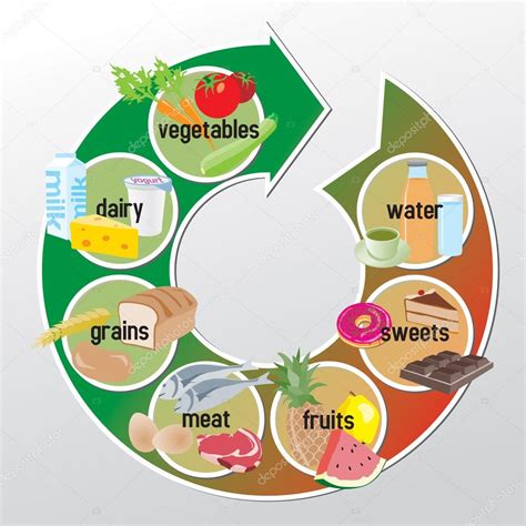 Infographic Of Groups Of Food Vegetables Dairy Grains Meat