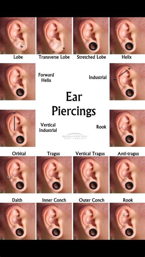 Ear Piercing Accessories Pinterest Ear Piercing Piercing And