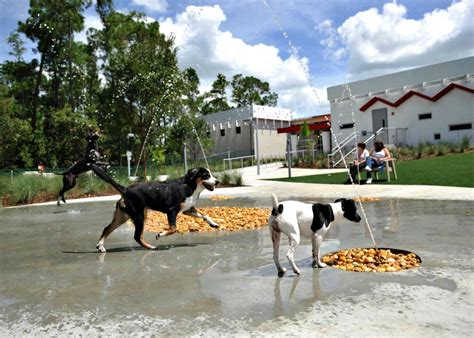 Maps • orlando • pet hotel. Barcelone à pattes : une ville adaptée aux animaux de ...