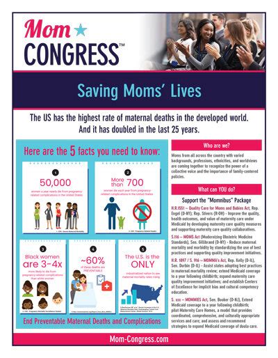 Momnibus Infographics — Mom Congress