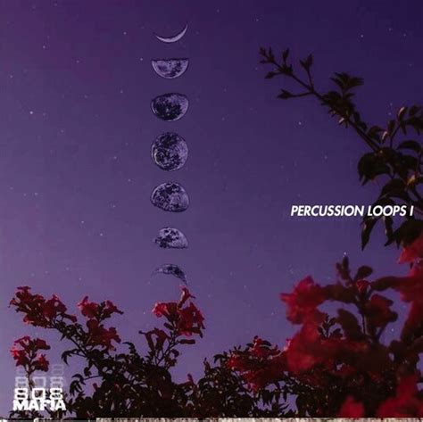 Onlyxne 808 Mafia Percussion Loops 001 Wav Freshstuff4you