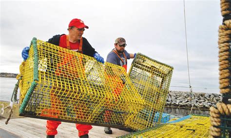 Lobster Season Ends In Southwest Nova Atlantic Fisherman