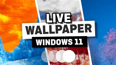How To Have Animated Wallpaper Windows 11 Reverasite