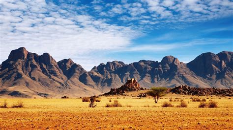 Desert Beautiful Landscape