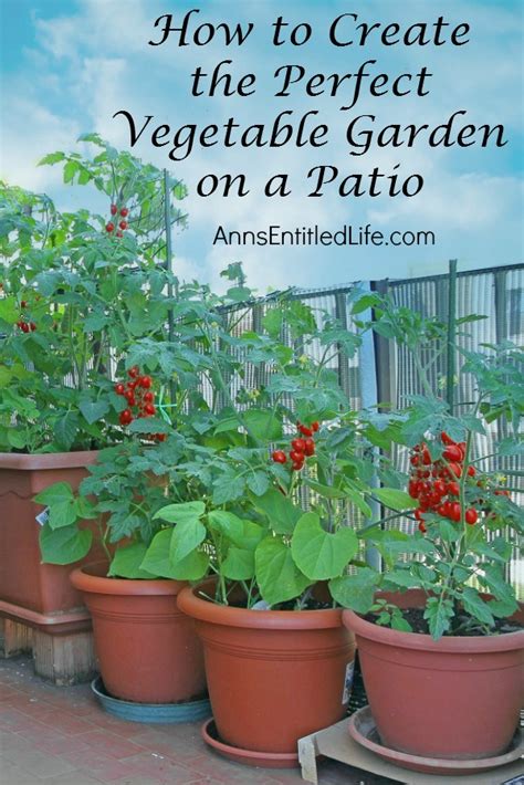 How to efficiently plant a vegetable garden and what design should it have? Small Space Gardening (20+ Great Ideas) - Proverbial Homemaker
