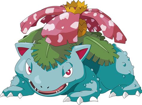 How To Draw Pokemon Venusaur At How To Draw