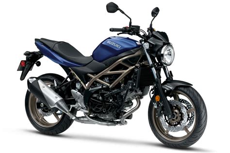 Suzuki Sv Guide Total Motorcycle