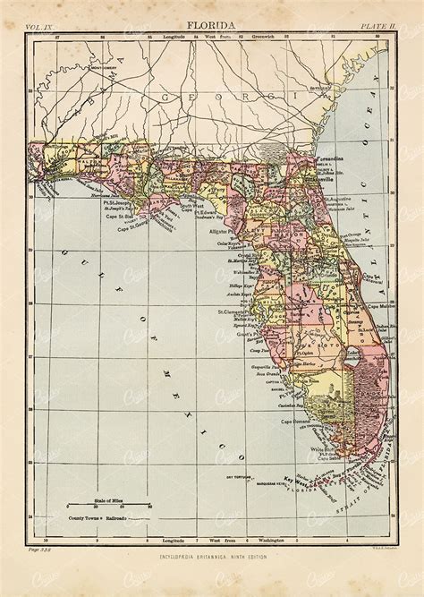 Vintage Map Of Florida 1880 Encyclopedia Britannica Tom Chalky