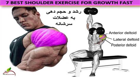 How To Build Your Shoulder Fast 7 Effective Workout تمرین و فیتنس آموزش حرکات برای عضلات