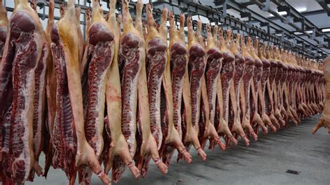 En philatélie c'est en général un bloc neuf. En Belgique, en 2020: davantage de porcs abattus, mais ...
