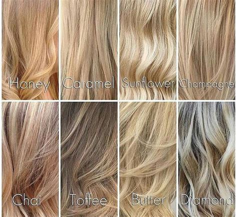 Different Shades Of Blondes Champagne Hair Color Champagne Hair