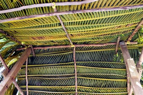 How To Make A Palm Thatch Roof Artificial Palm Leaves Palm Tree Leaves