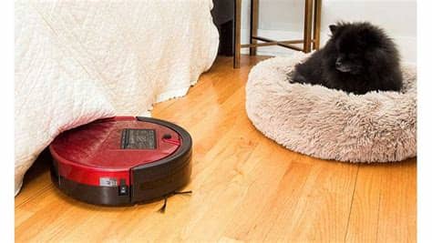 This special tool is designed to lift pet hair from deep within a carpet without getting all tangled up. Best Vacuum Cleaner For Pet Hair On Carpet