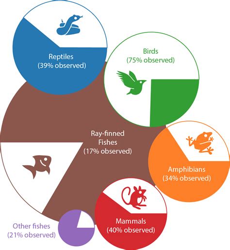 Tallying observed Vertebrate species with "complete taxa" · NaturaLista