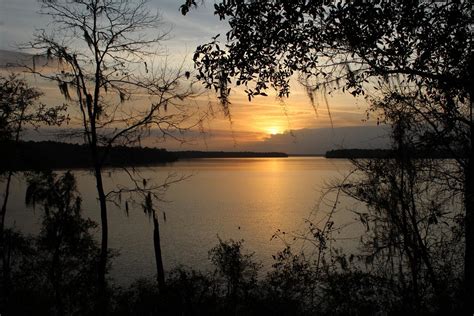 Lake Talquin State Forest Tallahassee All You Need To Know Before