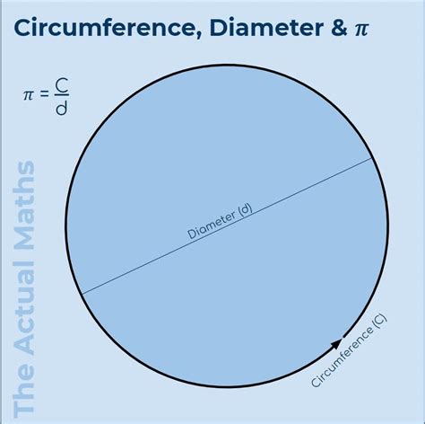 Diameter Of Circle Summerqust